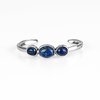 ROAM Rules - Blue Bracelet