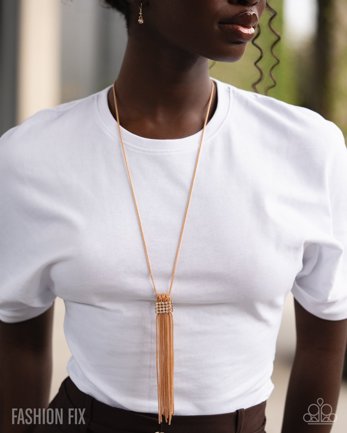 Magnificent Musings - June 2026 Fashion Fix Set